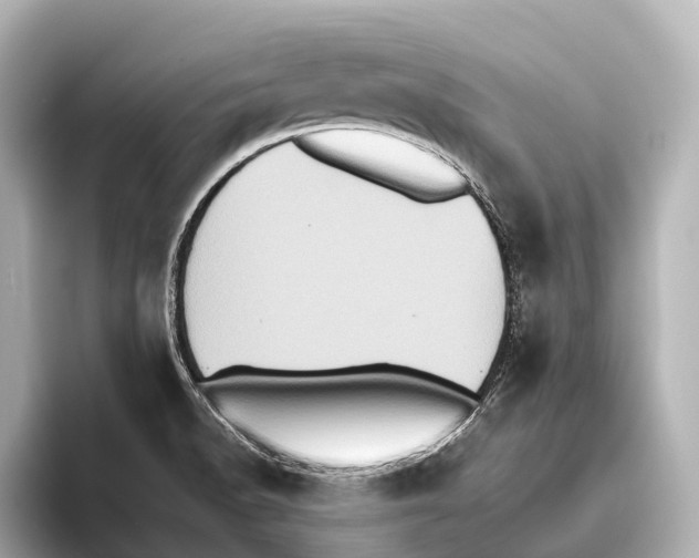 X0000095671518200802051219