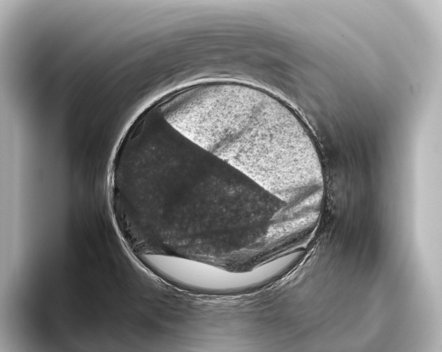 X0000095671519200802051219