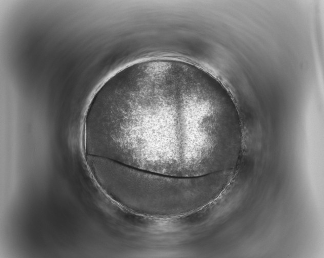 X0000095671520200802051219