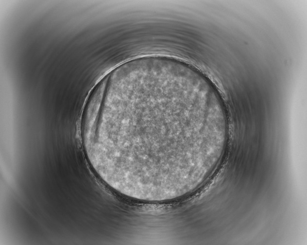 X0000095671521200802051219