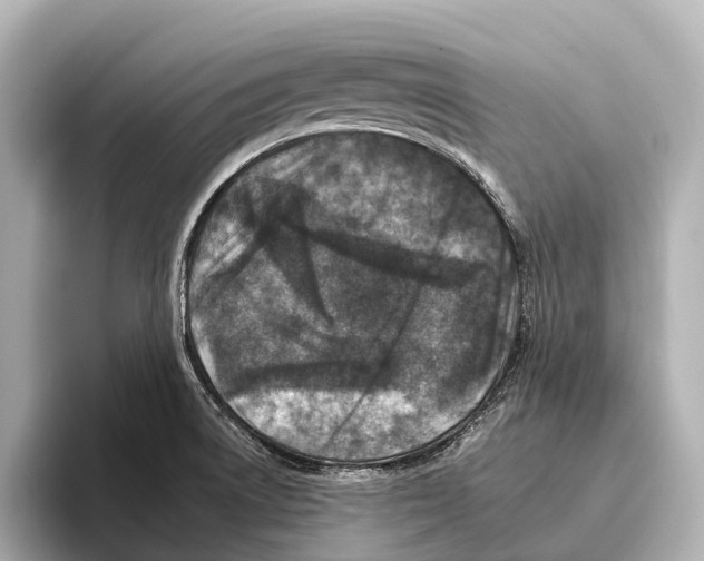 X0000095671522200802051219