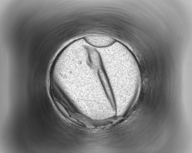 X0000095671523200802051219