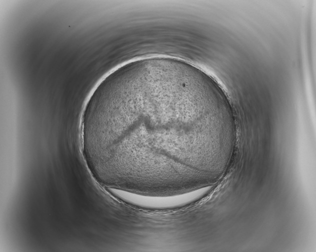 X0000095671524200802051219