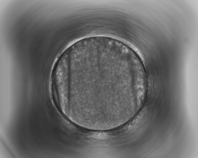 X0000095671525200802051219