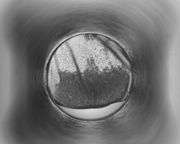 X0000095671527200802051219