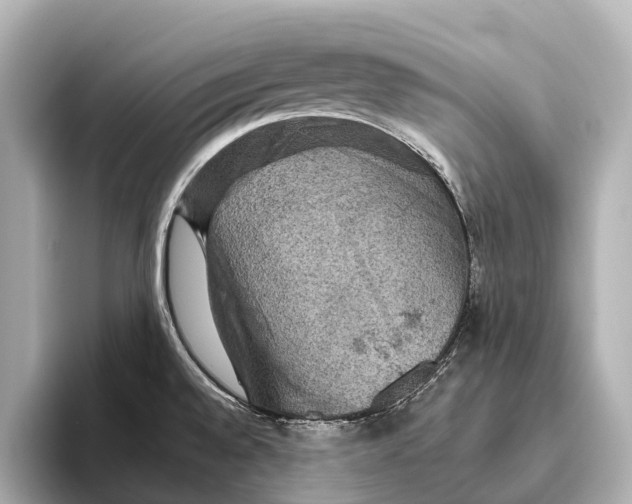 X0000095671528200802051219