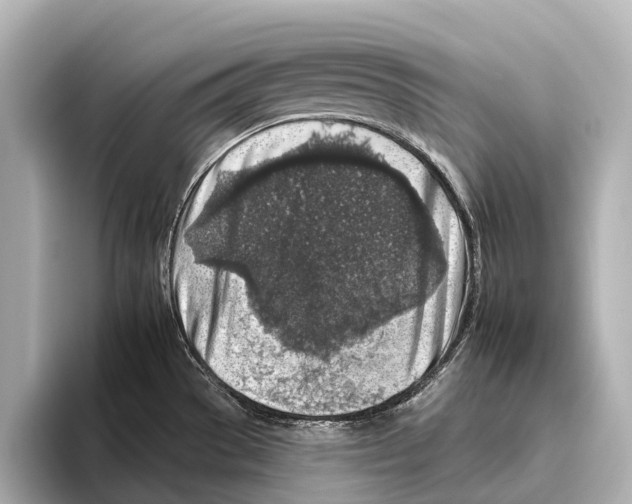 X0000095671529200802051219