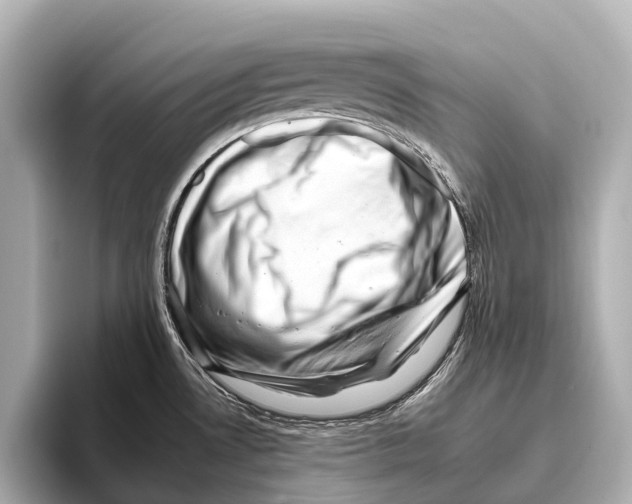 X0000095671530200802051219