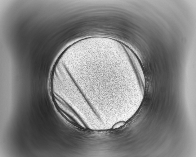 X0000095671531200802051219