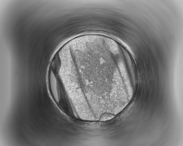 X0000095671533200802051220