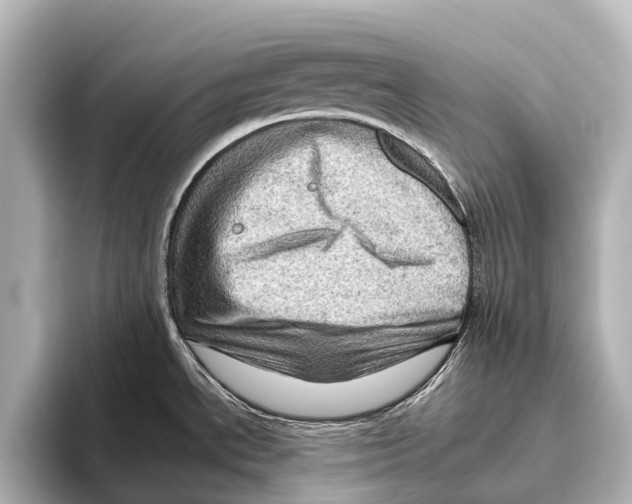 X0000095671534200802051220