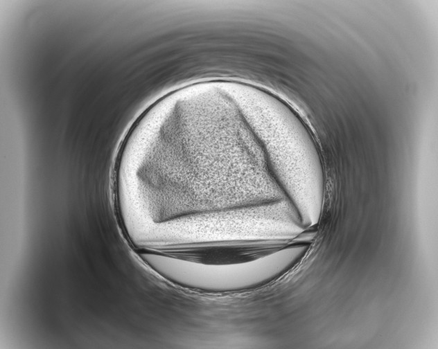 X0000095671535200802051220