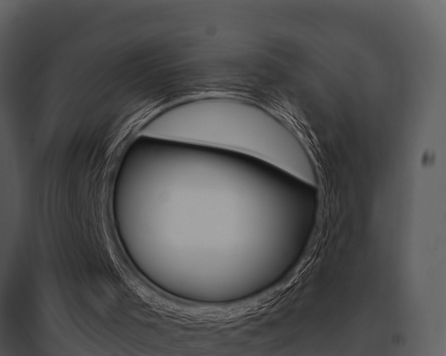 X0000095680001200801081114