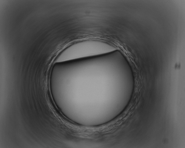 X0000095680002200801081114