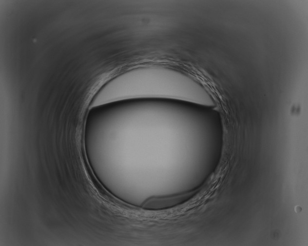 X0000095680003200801081114