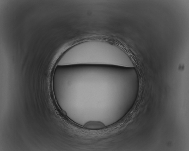 X0000095680006200801081114