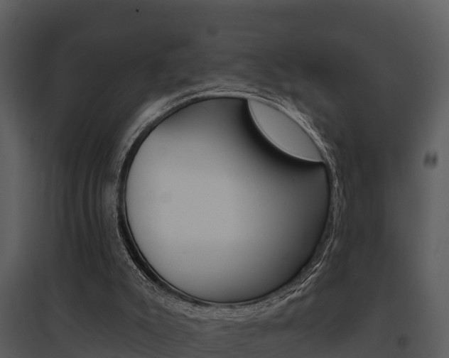 X0000095680007200801081114