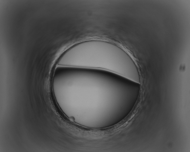 X0000095680008200801081114