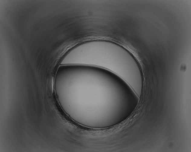 X0000095680013200801081114