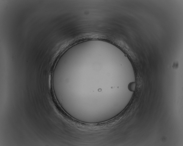 X0000095680014200801081114