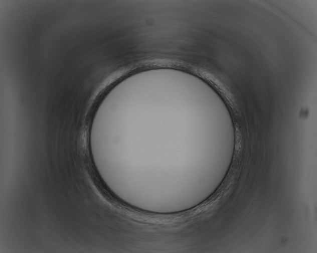X0000095680016200801081114
