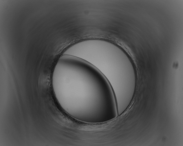 X0000095680017200801081114