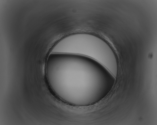 X0000095680019200801081114