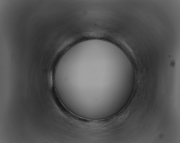 X0000095680020200801081114