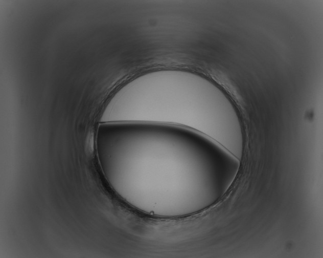 X0000095680021200801081114
