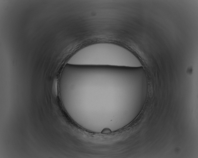X0000095680022200801081114