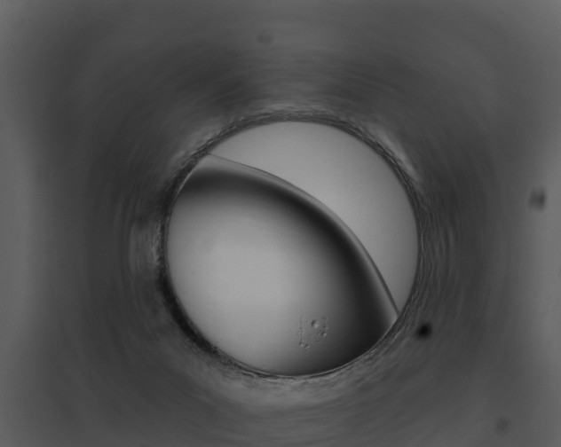 X0000095680023200801081114