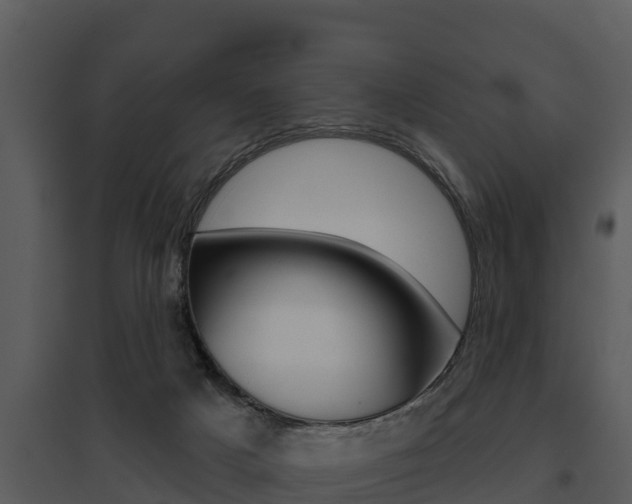 X0000095680025200801081114