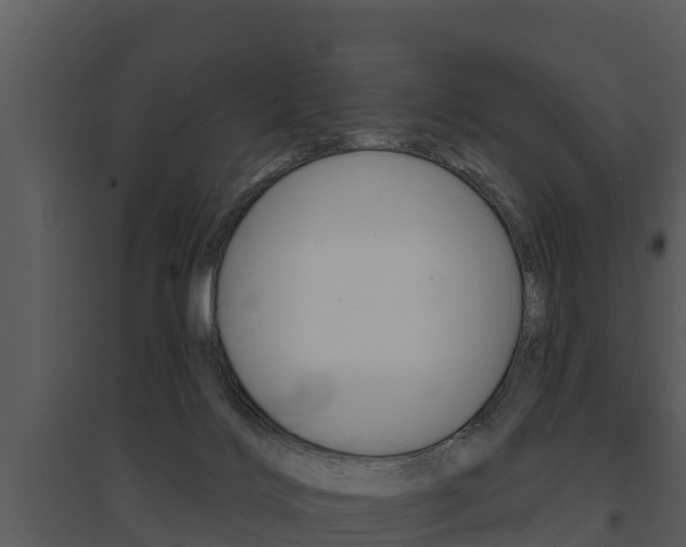 X0000095680028200801081114
