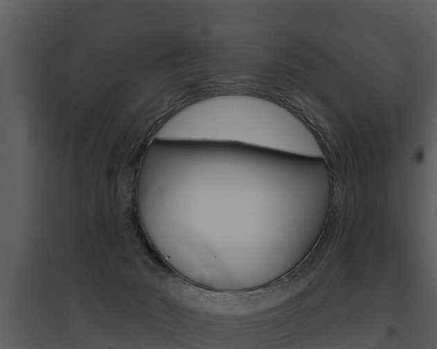 X0000095680030200801081114