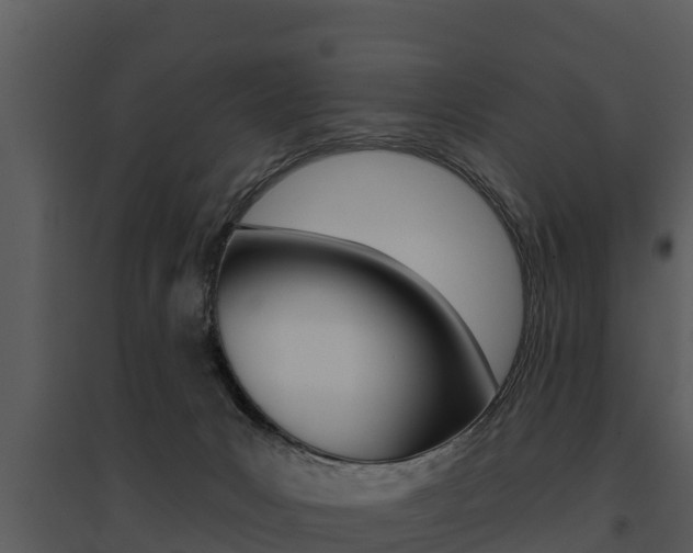 X0000095680031200801081114