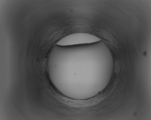 X0000095680034200801081114