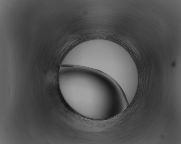X0000095680035200801081114
