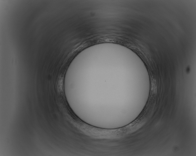 X0000095680036200801081114