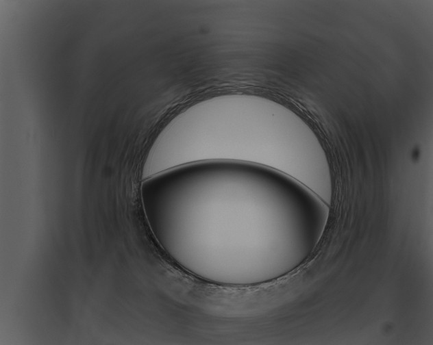 X0000095680037200801081114