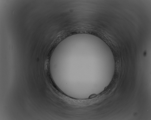 X0000095680038200801081114