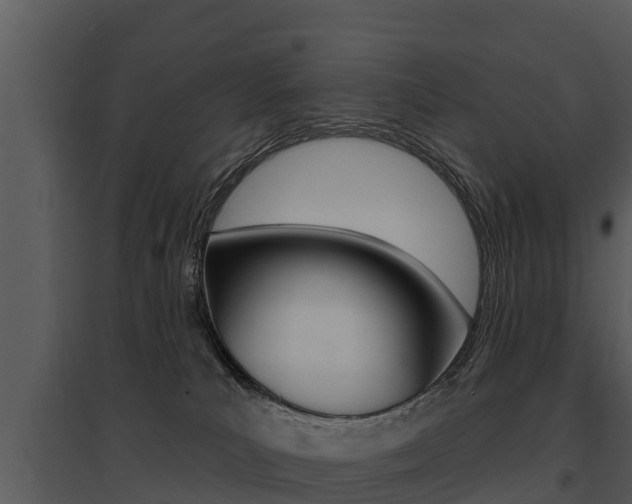 X0000095680039200801081114