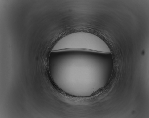 X0000095680040200801081114