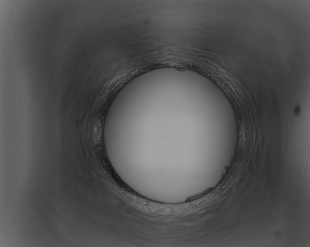 X0000095680043200801081114
