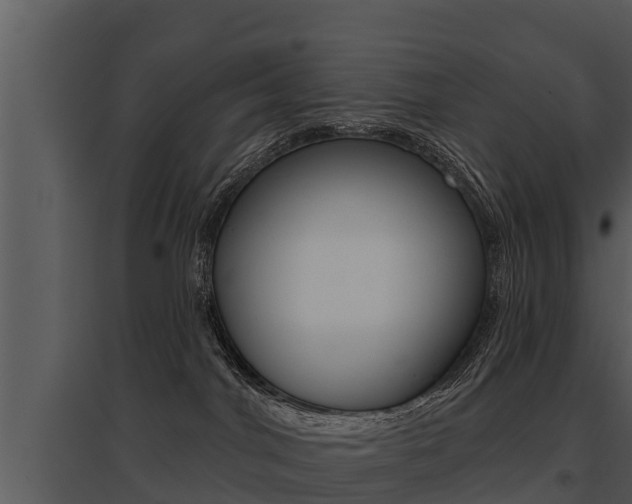 X0000095680044200801081114