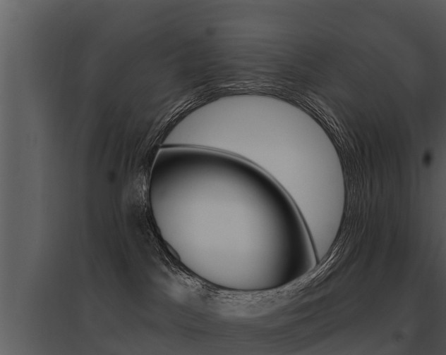 X0000095680045200801081114