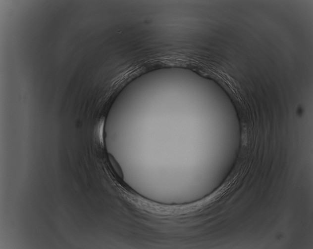 X0000095680047200801081114