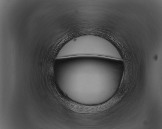 X0000095680048200801081114