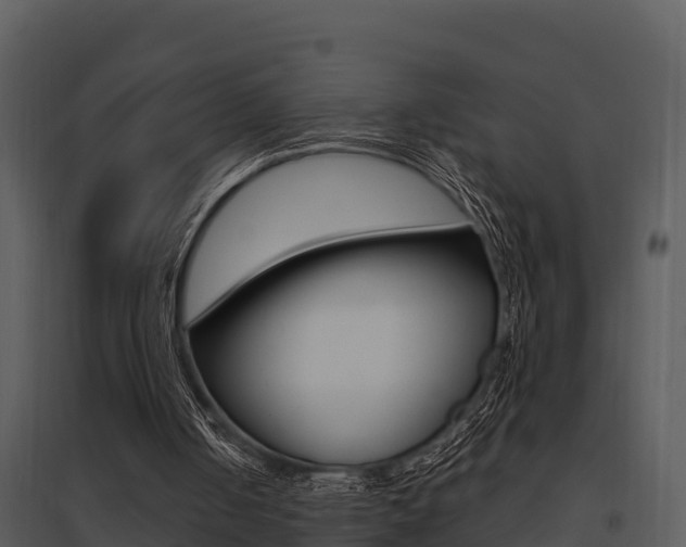 X0000095680050200801081113