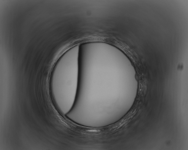 X0000095680053200801081113