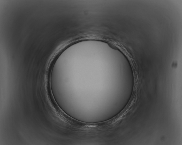 X0000095680055200801081113